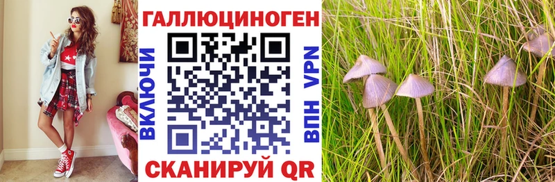 Галлюциногенные грибы Psilocybine cubensis  это Telegram  Петров Вал  OMG сайт 