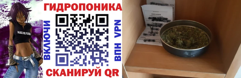 Бошки Шишки план  площадка как зайти  Петров Вал 